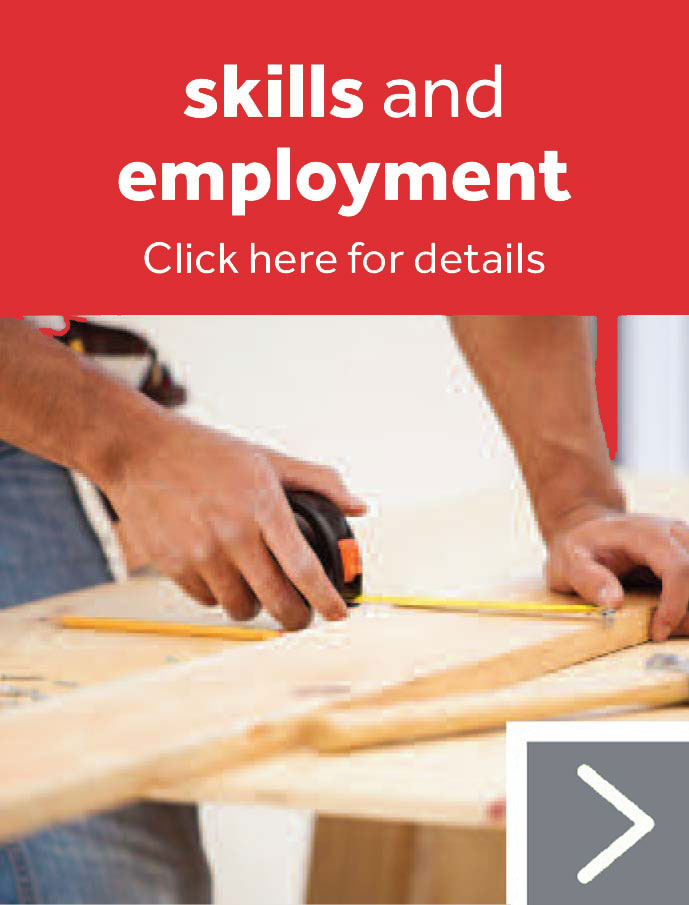 Skills and Employment